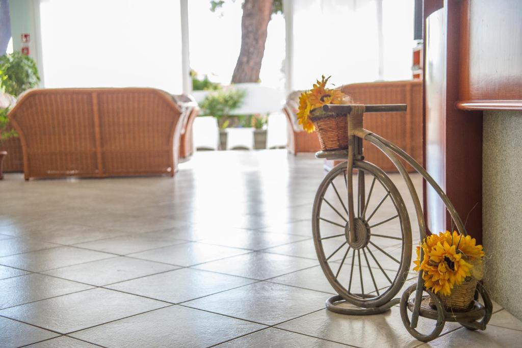 Ciccio Hotel Misano Adriatico Exterior photo